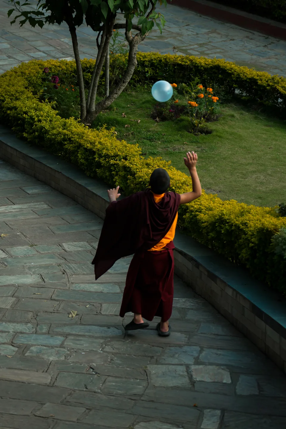 A young monk in maroon and gold robes stands on a paved path with arms raised, a blue balloon in the air above a garden.