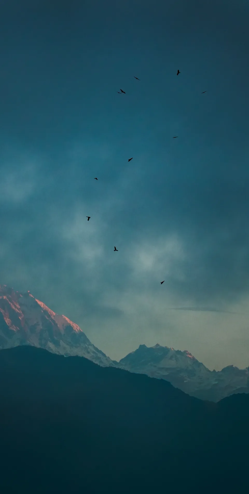 A snow peak under a dark blue sky with birds, a tall narrow frame.
