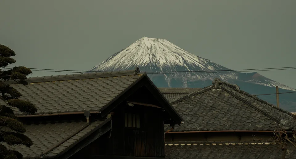 Snow-capped Mount Fuji rises behind traditional tiled rooftops and a trimmed pine, under a grey sky.