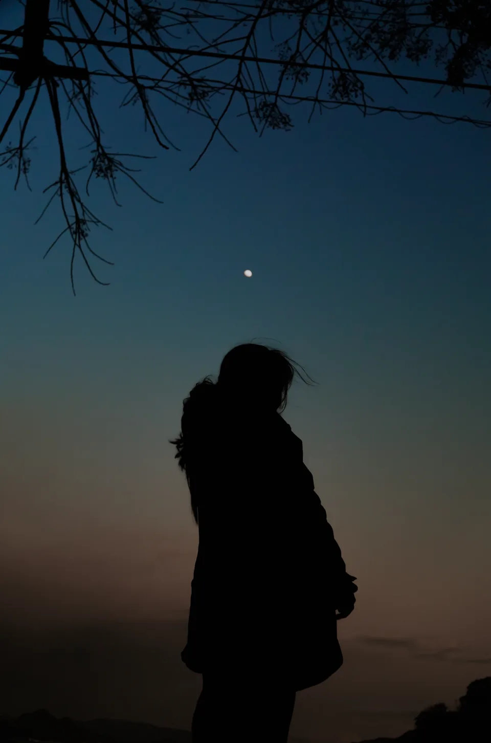 A silhouetted figure with windblown hair looks up at the moon against a dusk gradient sky, bare branches and power lines overhead.